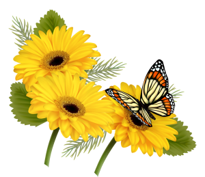 yellow flowers with a butterfly 